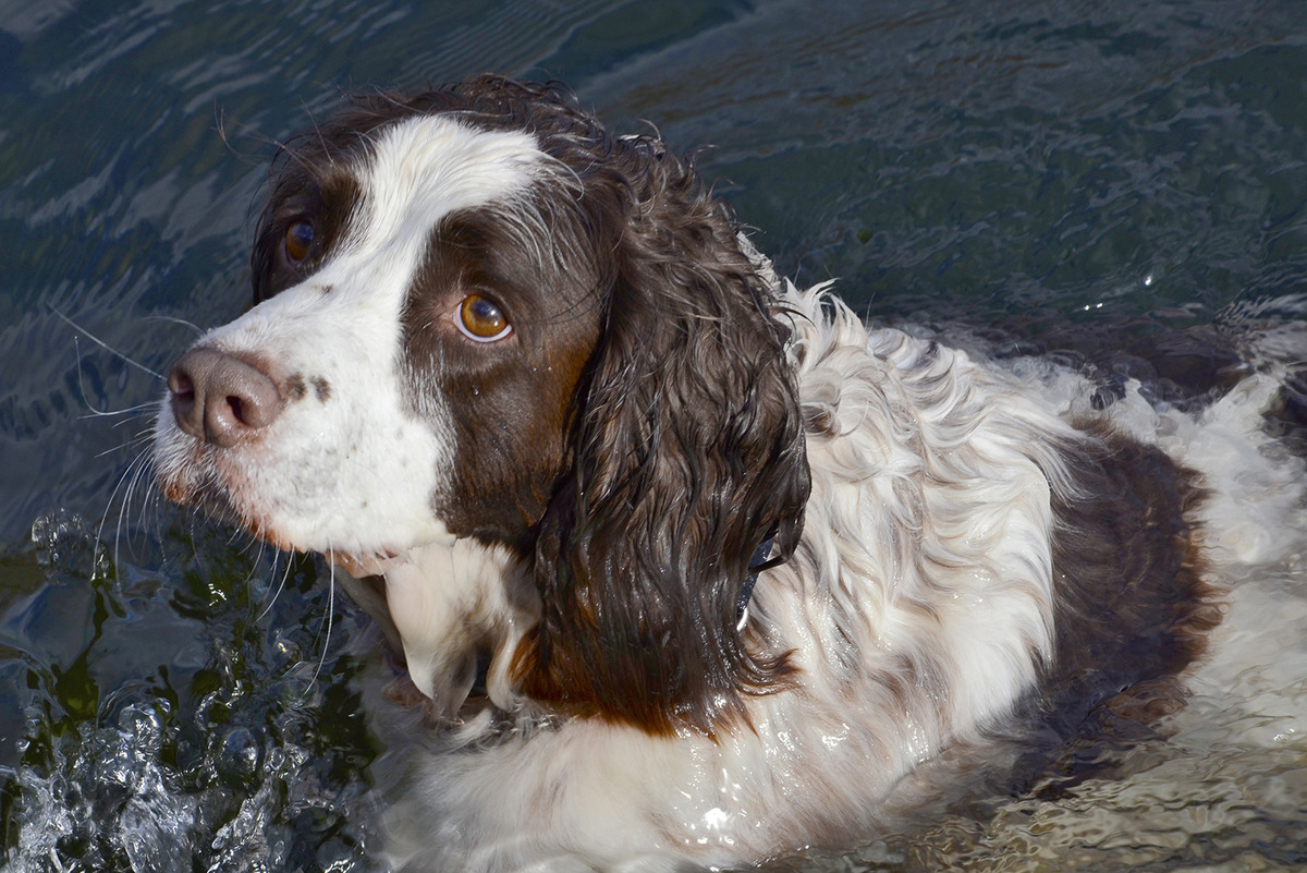 2nd. -  Mick Barwick